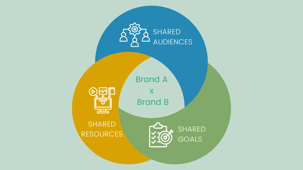 Diagram showing two interconnected brands with shared audience, resources, and goals